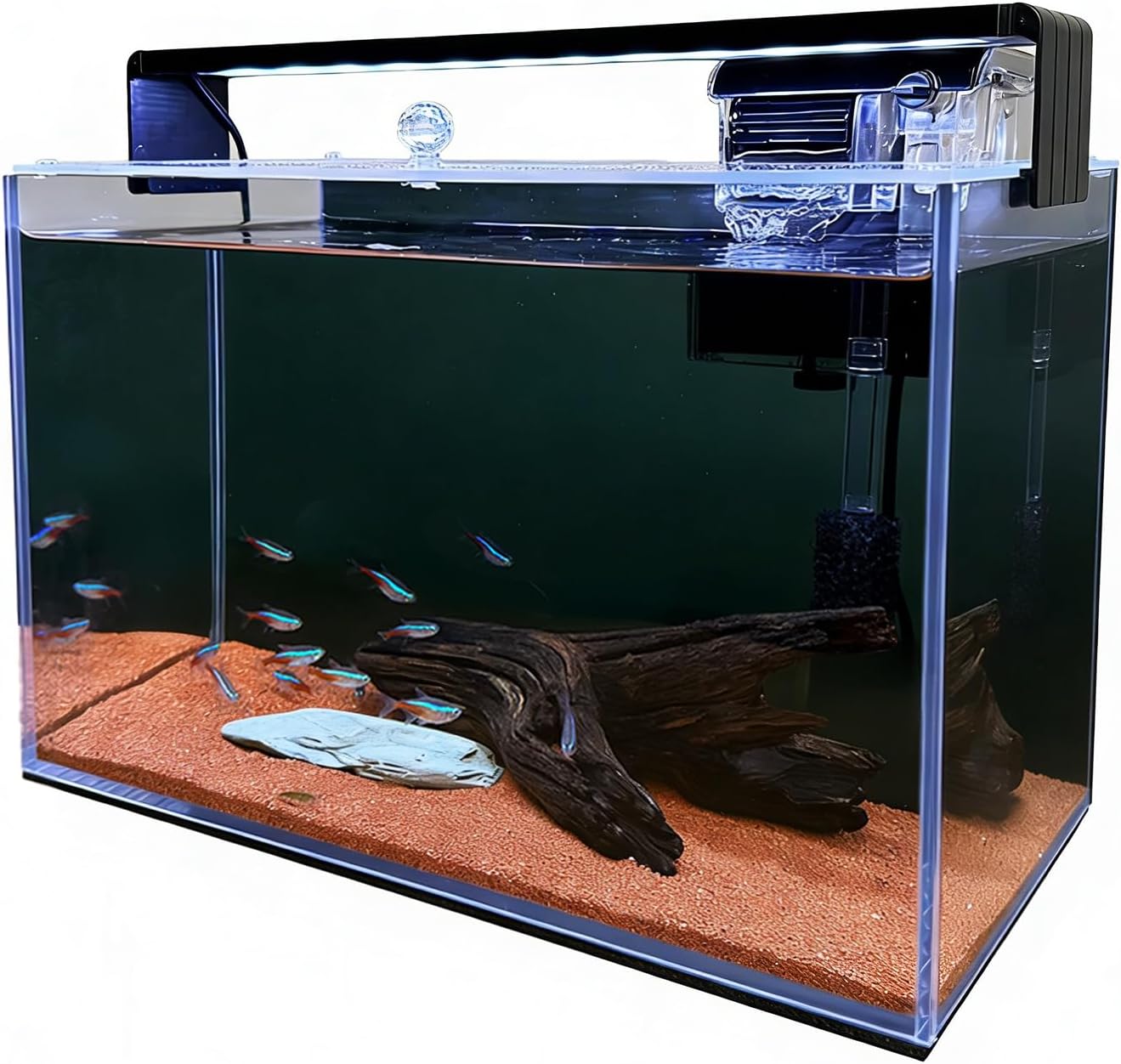 Aquarium Fish Betta - Kit de inicio para acuarios Nano