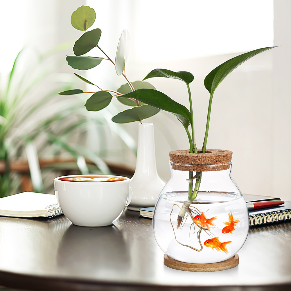 Aquarium Fish Betta - Pecera de Escritorio para Peces Betta