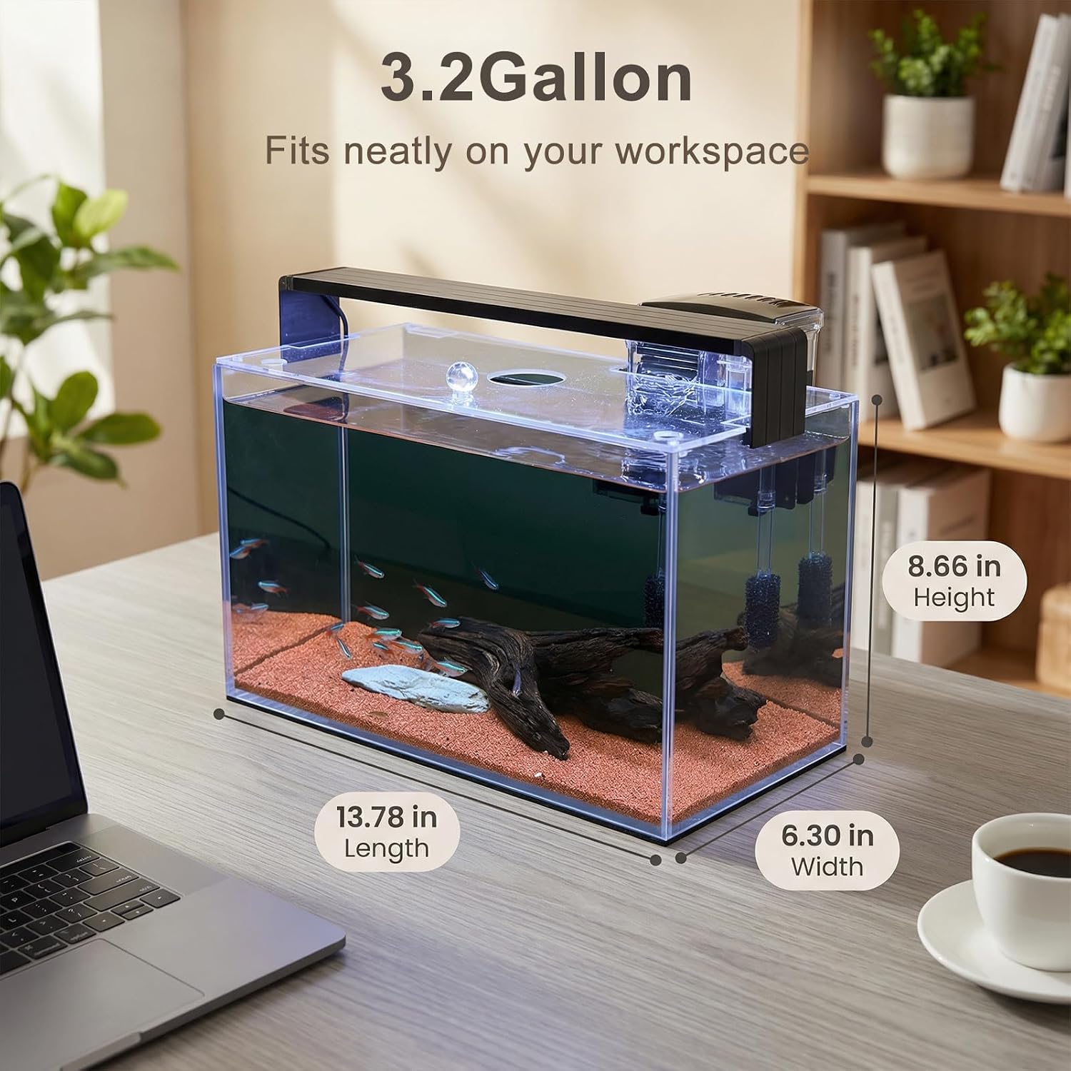 Kit de inicio para acuarios Na - Aquarium Fish Betta reseña y precio