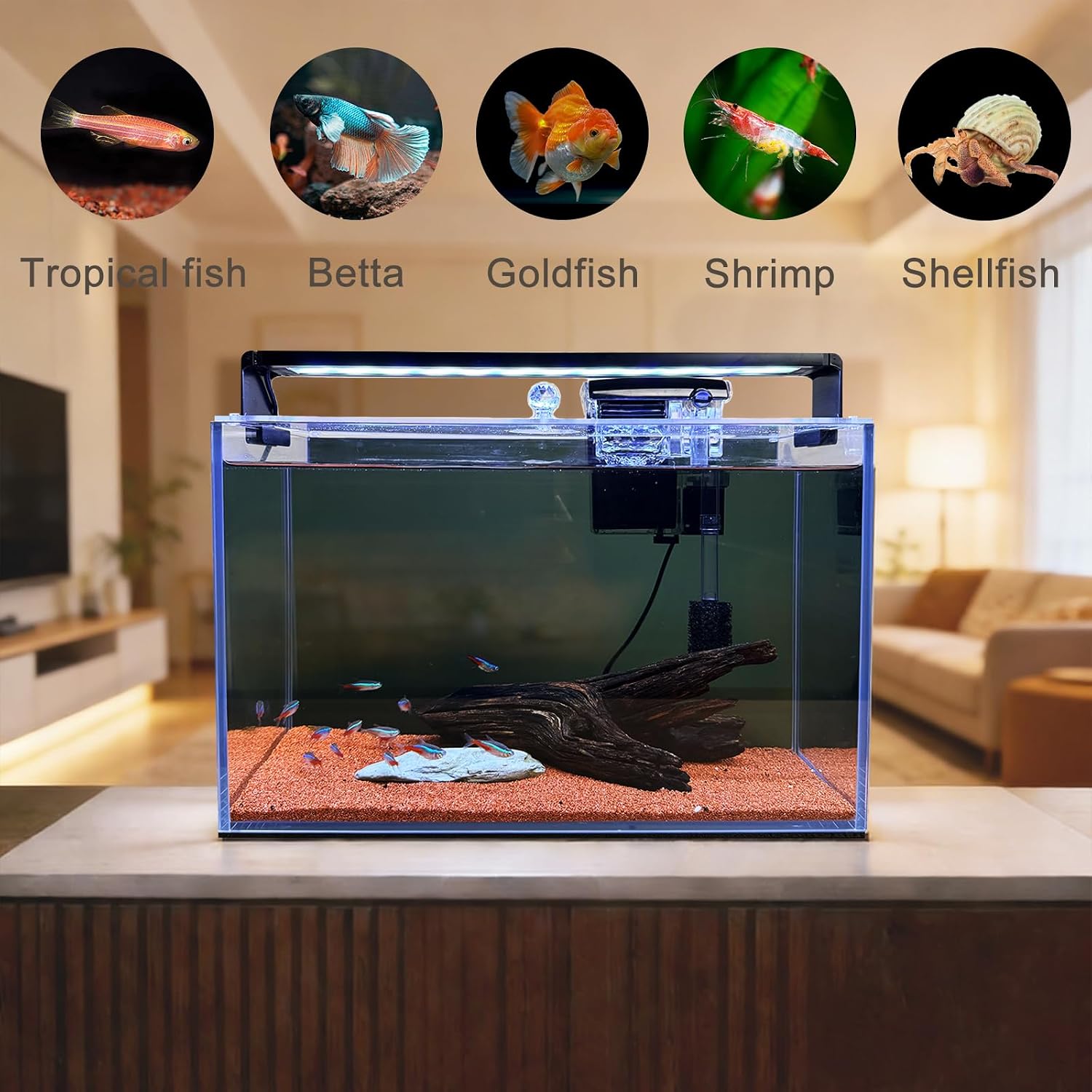 Kit de inicio para acuarios Na - Aquarium Fish Betta reseña y precio