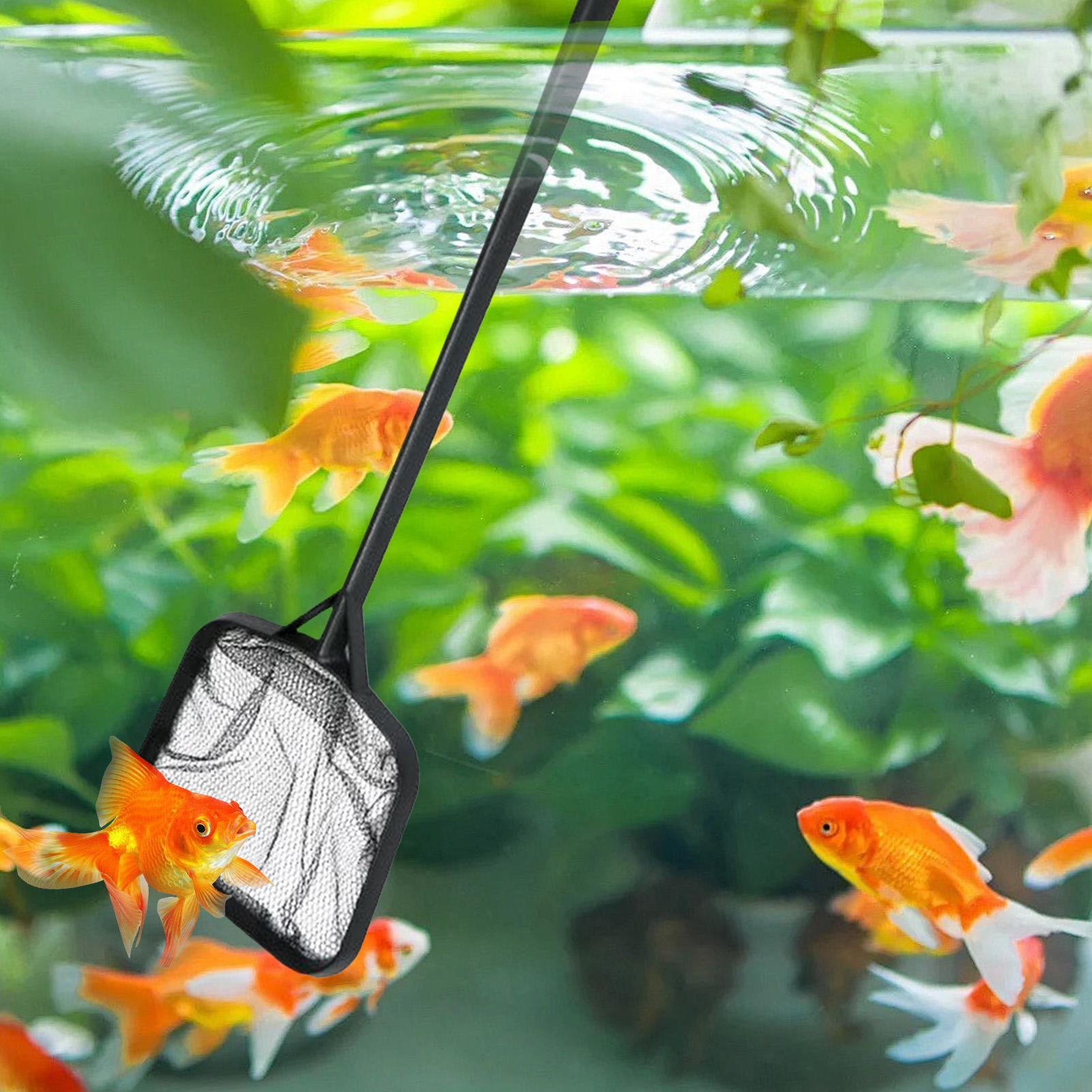 Redes de limpieza para piscina - Aquarium Fish Tank reseña y precio