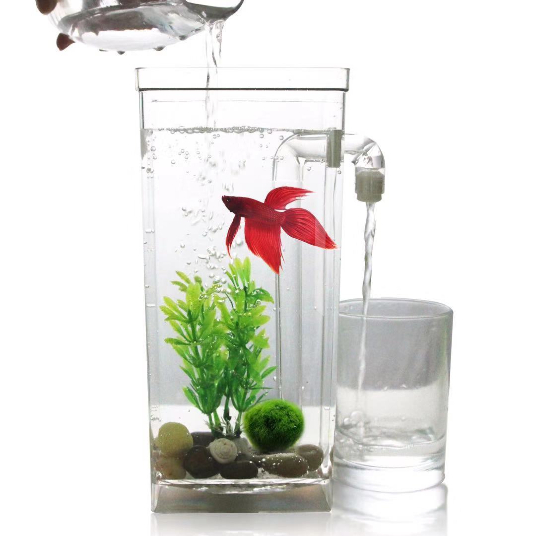 Tanque de peces de escritorio  - Aquarium Fish Betta reseña y precio