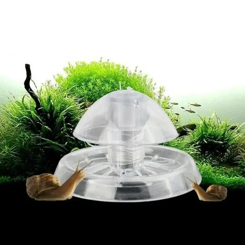Nueva Trampa para Caracoles de - Fish Aquarium Home reseña y precio