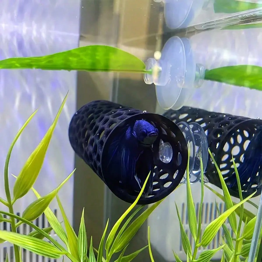 Escondite para peces Betta, tu - Aquarium Fish Betta reseña y precio