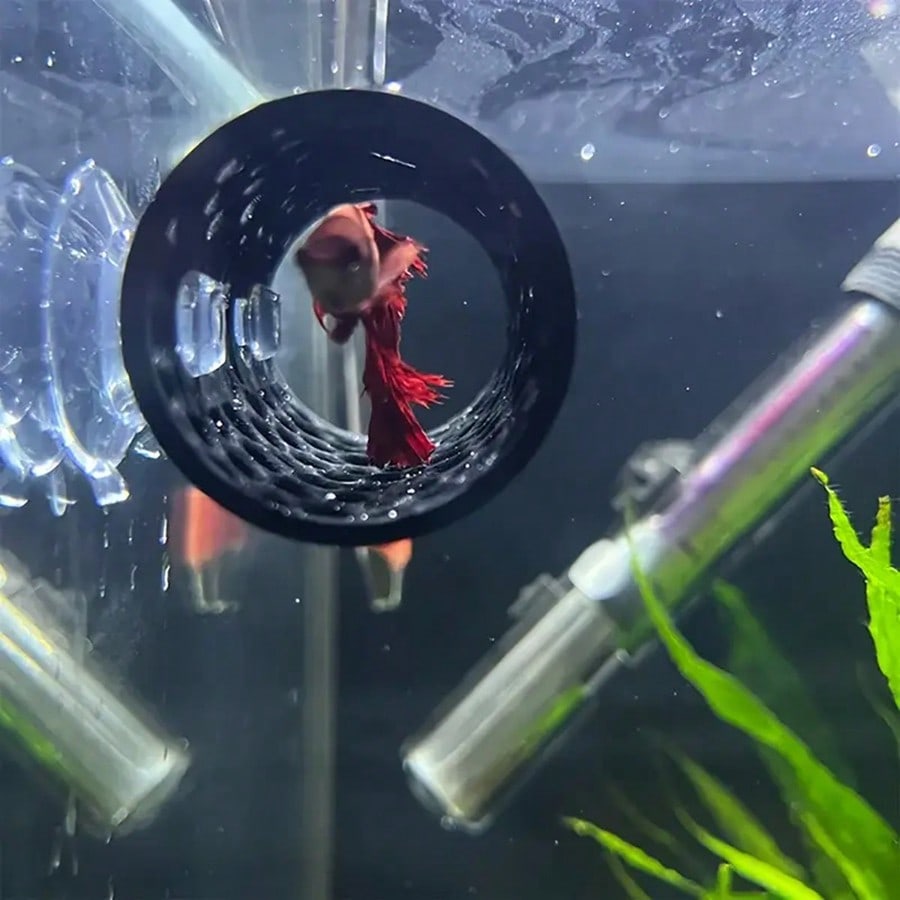 Escondite para peces Betta, tu - Aquarium Fish Betta reseña y precio