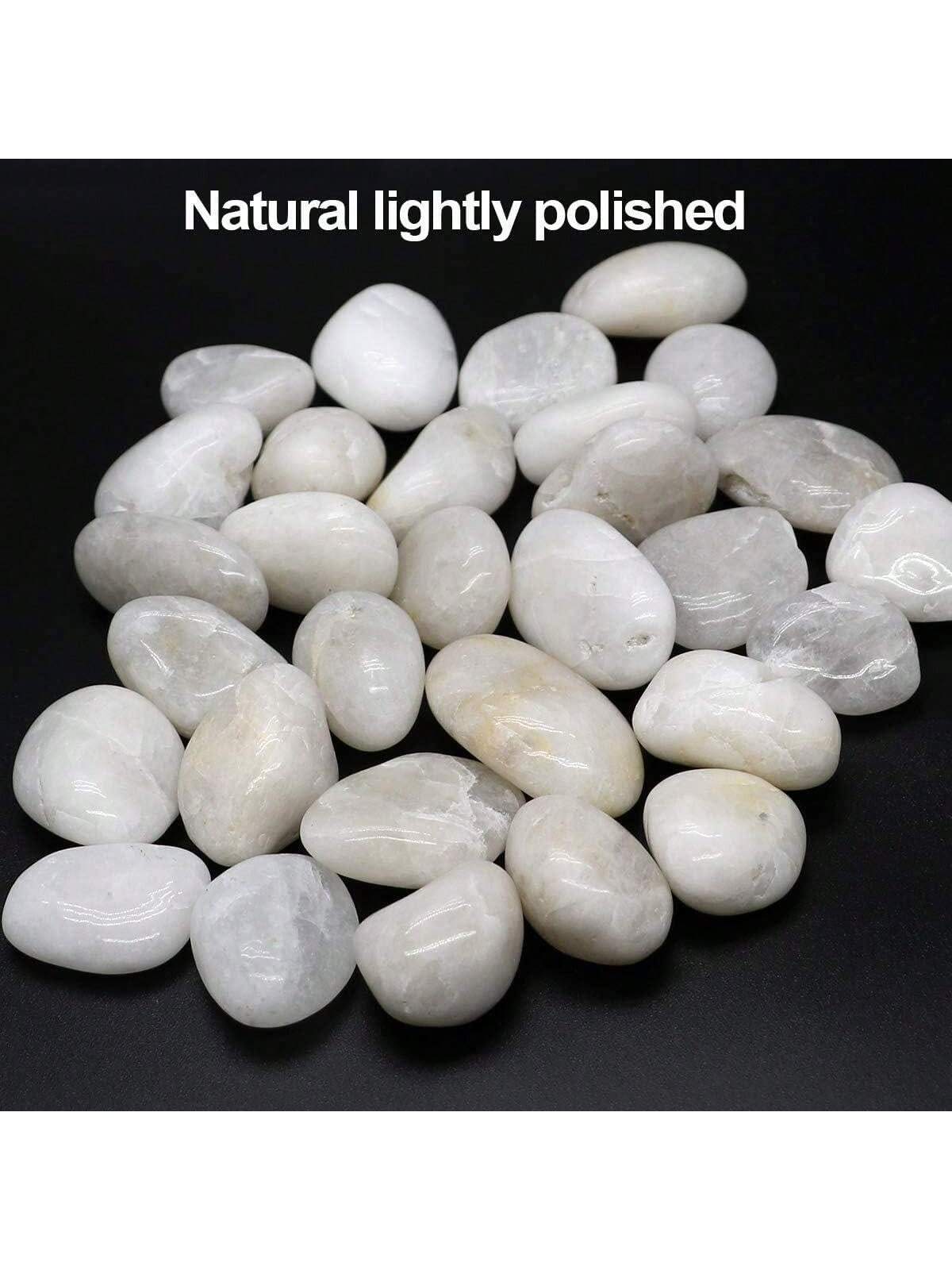 Rocas de río, guijarros blanco - Fish Tank Gravel reseña y precio