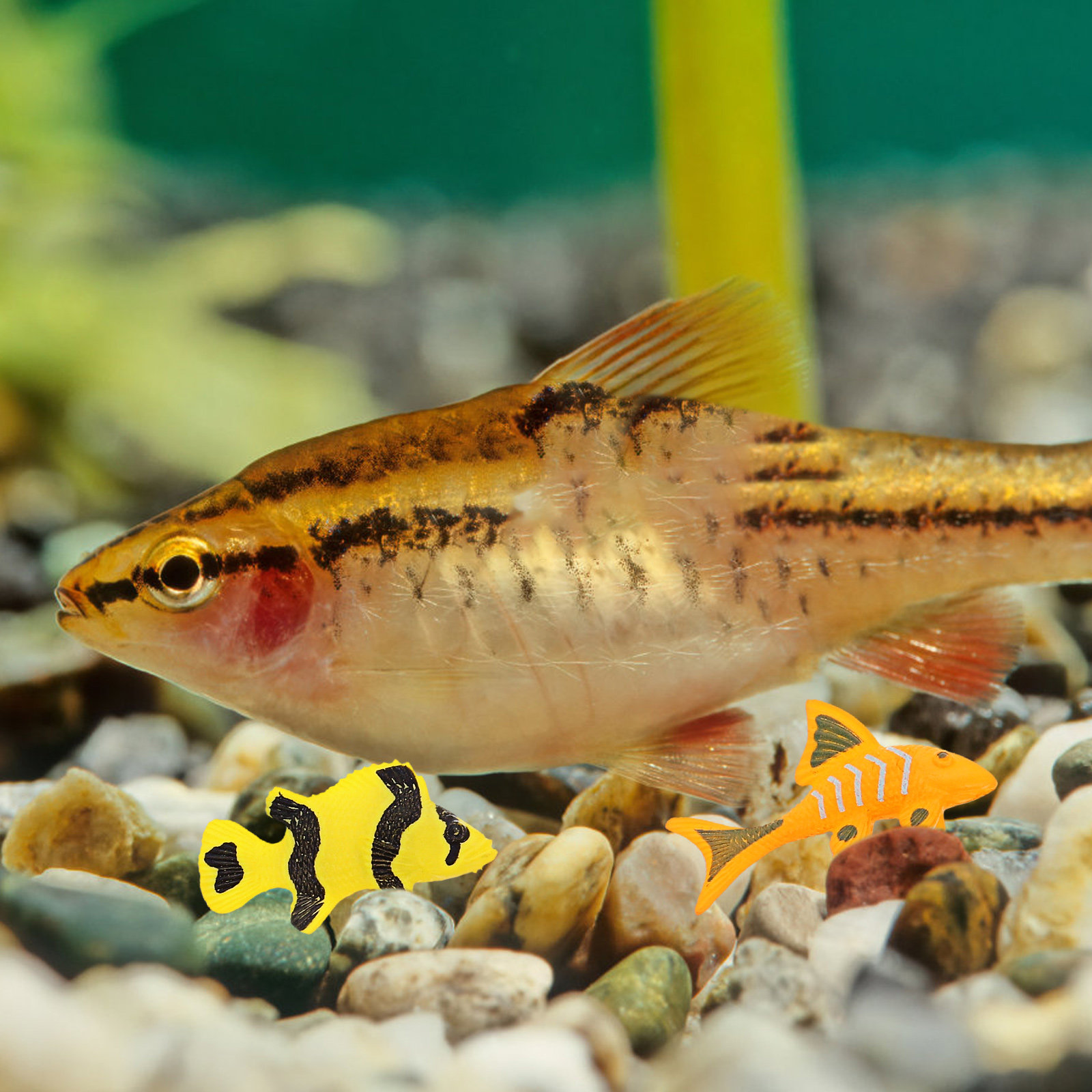 12 piezas de figuras de peces  - Aquarium Decor reseña y precio
