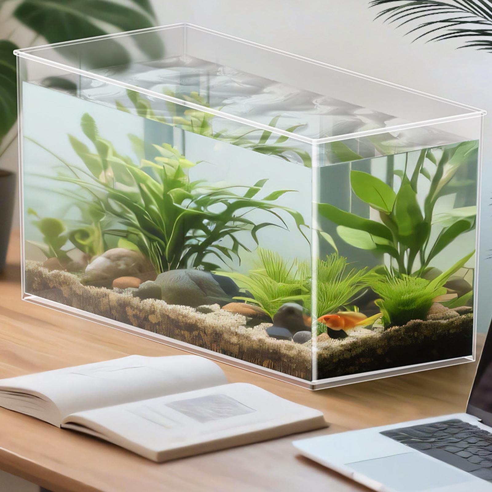 Pecera pequeña para Bettas, te - Betta Fish Tank reseña y precio