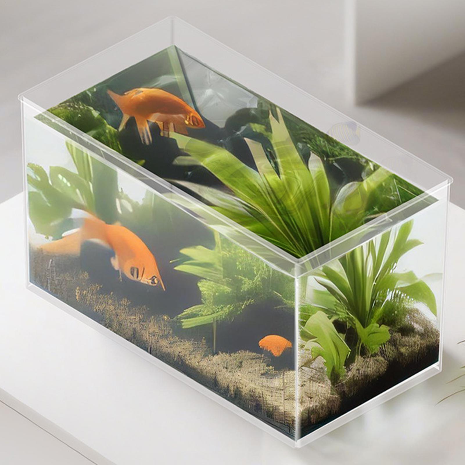 Pecera pequeña para Bettas, te - Betta Fish Tank reseña y precio