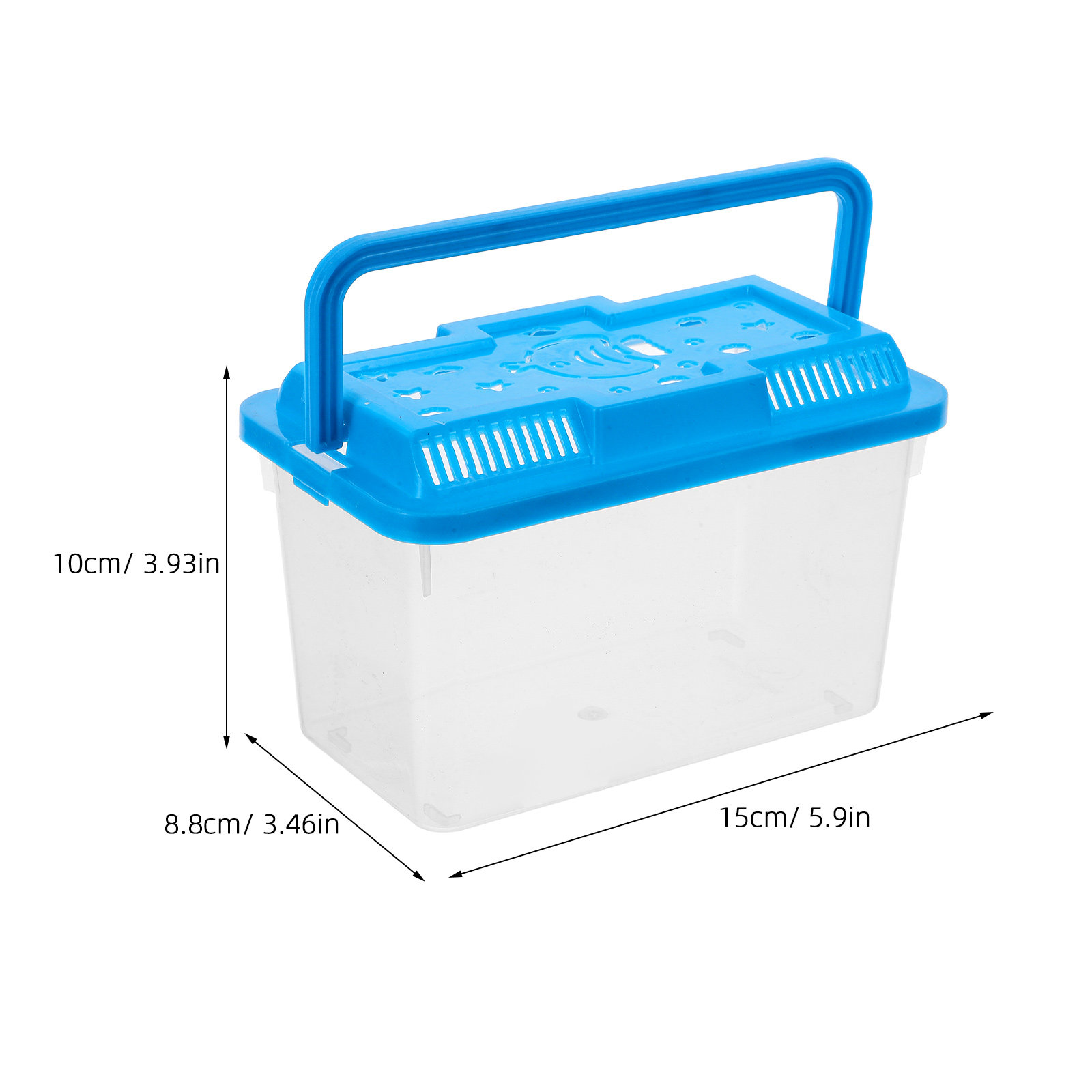 Pecera transparente para Hallo - Aquarium Fish Betta reseña y precio