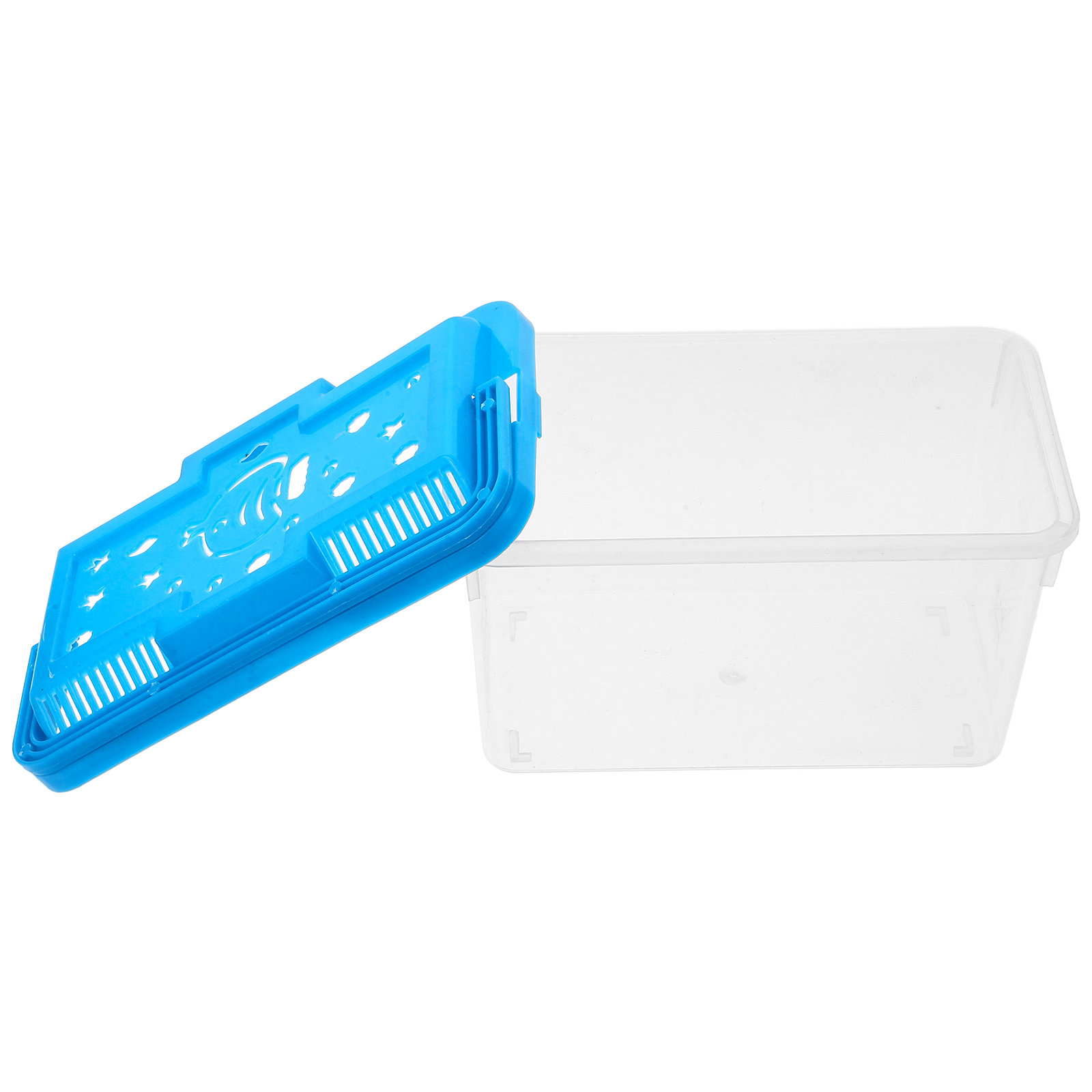 Pecera transparente para Hallo - Aquarium Fish Betta reseña y precio