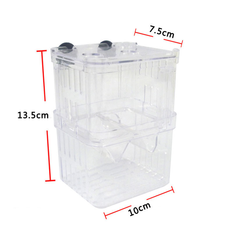 Caja de aislamiento para cría  - Aquarium Fish Betta reseña y precio