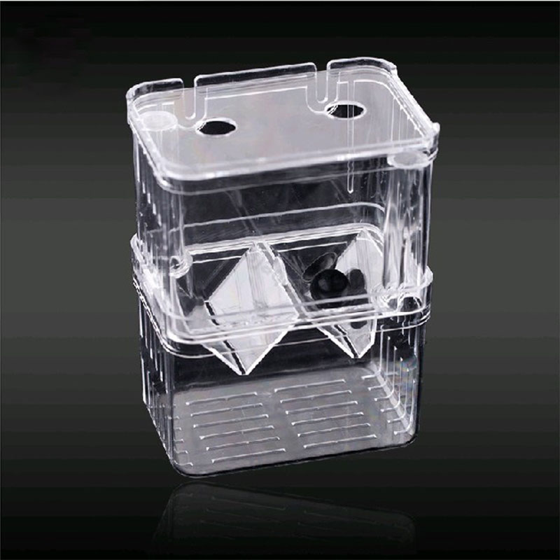 Caja de aislamiento para cría  - Aquarium Fish Betta reseña y precio